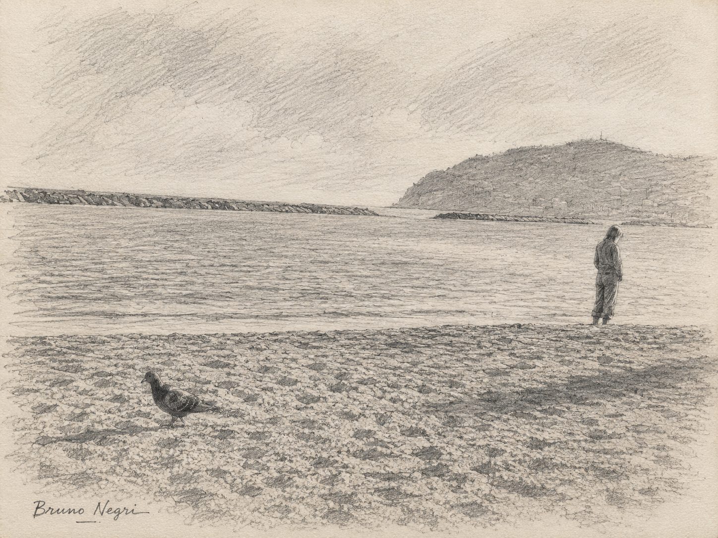 Pigeon on Alassio beach